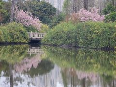 -成都南湖公园