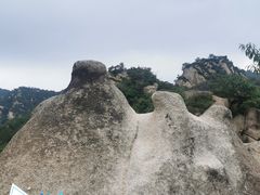 -大岭沟猕猴桃谷风景区