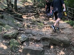 -紫金山山顶公园