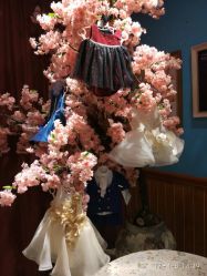 -星豆豆儿童摄影(南郊太白南路店)