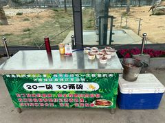 -西霞口神雕山野生动物世界