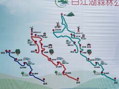 -广州白江湖森林公园