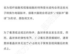 -星视野儿童近视弱视视力训练中心(富荟店)
