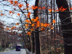 -虎跑公园