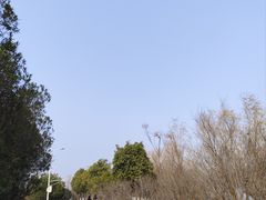 -艾溪湖湿地公园