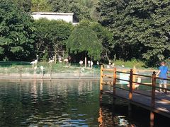 景点-西安秦岭野生动物园