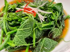 山茶油丝瓜尖-清水亭湖北菜(大屯DT51店)