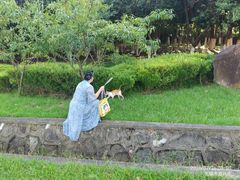 -宜兴龙背山森林公园