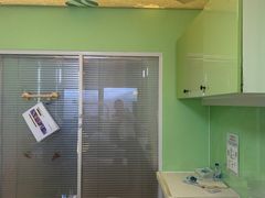 -极橙儿童齿科矫正中心(奥城店)