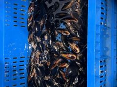 -江杨农产品批发市场