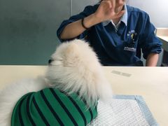 -东方动物医院·宠保定点·骨科·转诊中心(春城路·昆明站分院)