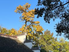 -岳麓山风景名胜区