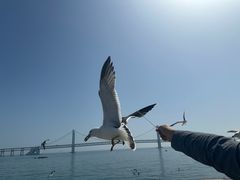-星海广场