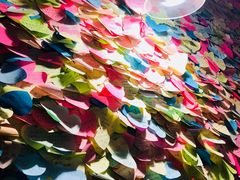 -阿信厚吐司(曾厝垵店)