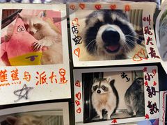 -赤谷和牛烧肉居酒屋(石景山店)