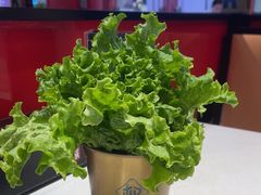 -权金城·烤肉(华北商厦店)