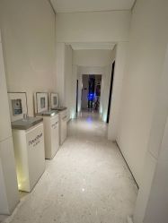 -奥斯芬欧系贵族SPA