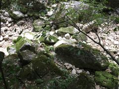 -重庆武隆天生三桥风景区-神鹰天坑