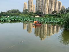 -前关湿地公园
