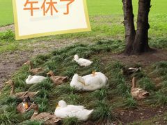 -黄兴公园