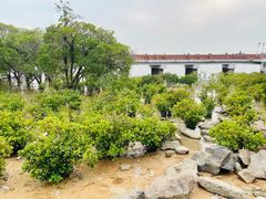 -宝安西湾红树林湿地公园