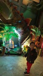 -恐龙探索乐园(磁器口店)