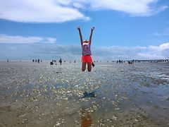 -南汇嘴观海公园