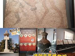 -洛阳古墓博物馆
