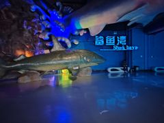 -泉城欧乐堡海洋极地世界