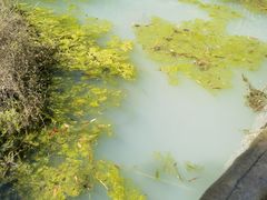 -汕尾铜鼎山旅游区