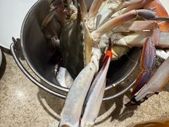 -初色海鲜自助(万丰路店)