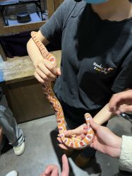 -Zoolung Zoolung动物主题公园(海信广场店)