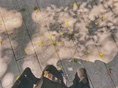 -小洲村
