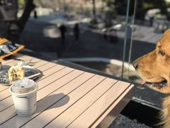 -J Create城市露营咖啡·简餐·宠物(上海动物园店)