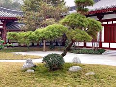 -唐御宴•御宴宫•唐代菜点(芙蓉西路店)