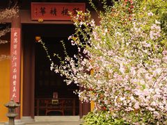 -慧因高丽寺