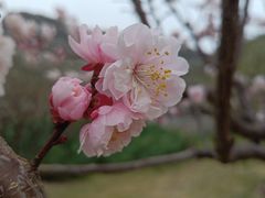 -北京明城墙遗址公园