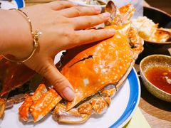 螃蟹-咖啡苑自助餐厅·中国大饭店