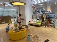 -1013 PET SHOP精品宠物商店(丁香店)