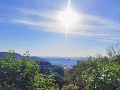 -香山公园