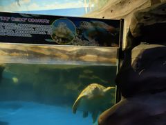 -梦幻海洋王国(吾悦广场张家港店)