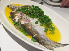 青花椒蒸白水鱼-荣兴酒家(徐家汇店)