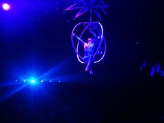 -珠海横琴长隆《卡卡虎奇遇记》