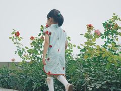 -金星公园