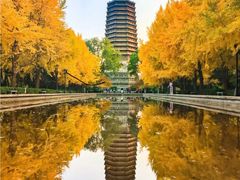 -玲珑塔公园