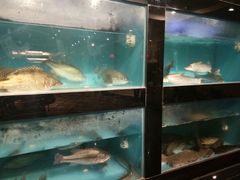 -武汉新华大饭店