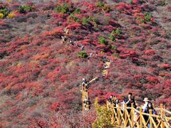-水峪民俗村
