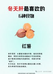 -雅曼妮spa美容养生