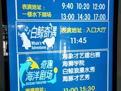 -泉城欧乐堡海洋极地世界