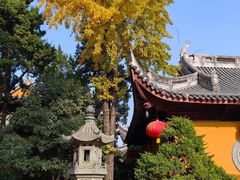 -龙华素斋(龙华路店)